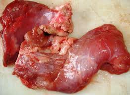 Pancreas, niet gemalen, per 500 gram - Klik op de afbeelding om het venster te sluiten